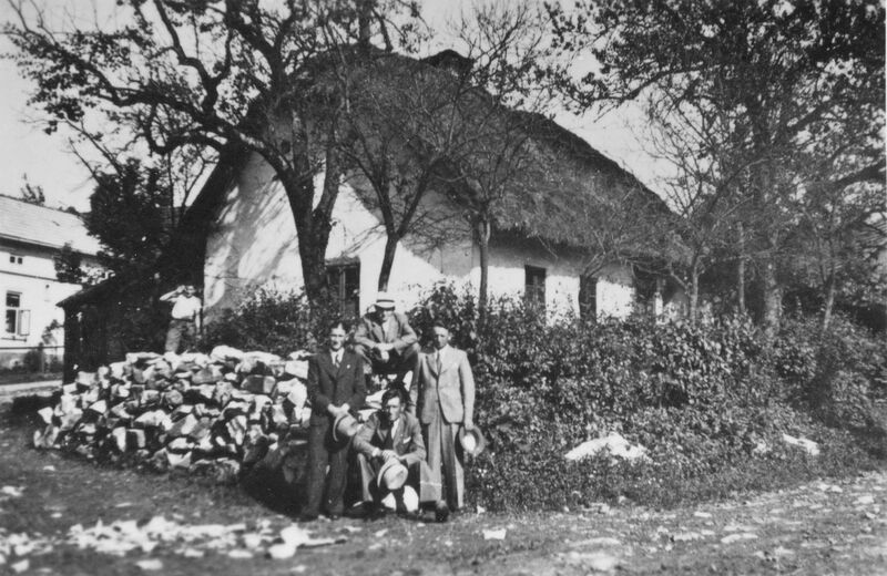 Soubor:Hostetin cp49 strnadovec.jpg